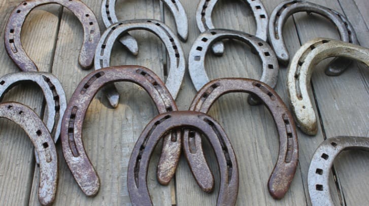Types of Horseshoes